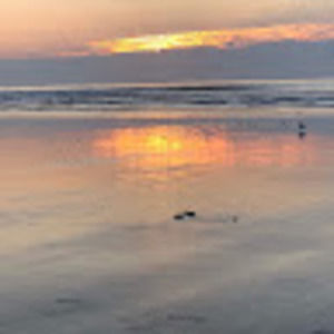 Meet your Posher, Xanthe